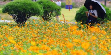 가을 오나 했더니… 추석까지 ‘낮 기온 30도’ 늦더위