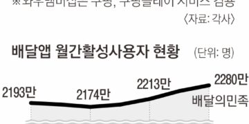 배민, 구독 서비스 유료화… 배달비 떠안은 외식업주들 거센 반발