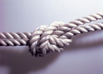 父 살해하러 7층서 밧줄 타고 내려간 아들…“그만큼 절박했다” 황당 항변