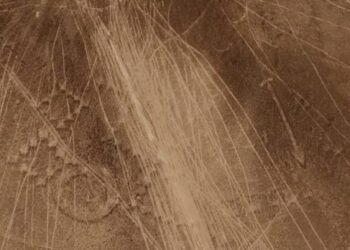 불법 사막 레이싱에… 3000년 된 칠레 지형 문자 훼손