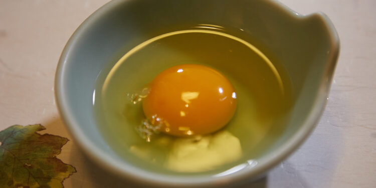 달걀이 콜레스테롤 높인다고? 한 달간 720개 먹어 봤더니