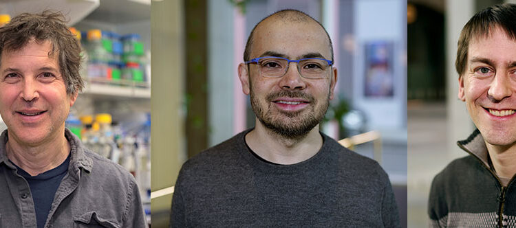 ‘알파고’의 아버지, 데미스 허사비스 노벨화학상 수상