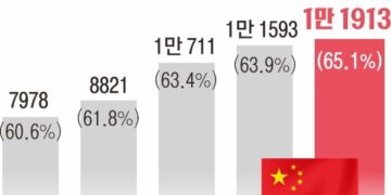 [단독] “수업 내용 통역해 줘, 논문도 중국어로 써”…물석사·물박사 봇물