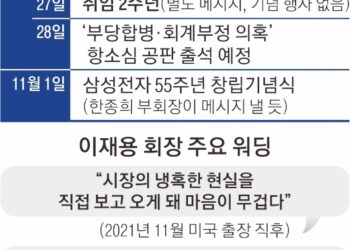 반도체 ‘빨간 불’ 켜진 삼성… “사법리스크 해소 기다릴 시간 없다”