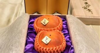 “믿을 수 없어” 다들 깜짝…무려 천만원짜리 ‘단감’, 얼마나 맛있길래