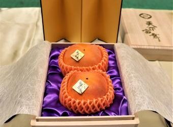 “믿을 수 없어” 다들 깜짝…무려 천만원짜리 ‘단감’, 얼마나 맛있길래