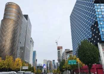 흑백요리사들 밀집 ‘맛의 성지’ 도산대로… 디저트 전쟁도 달달[서울펀! 동네힙!]