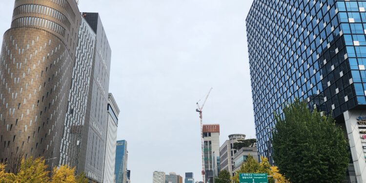 흑백요리사들 밀집 ‘맛의 성지’ 도산대로… 디저트 전쟁도 달달[서울펀! 동네힙!]