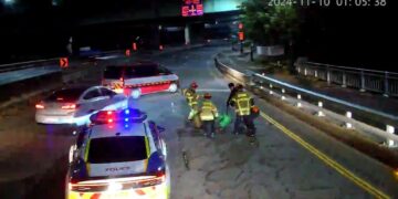 “수원에서 잡았는데 의왕에 또” 사슴 잇따라 출몰