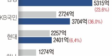 ‘서민 급전’ 대출에… 카드사 배불렀다