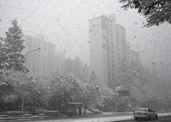 분당 시범·샛별·양지… 1기 신도시 3.6만 가구 먼저 재건축