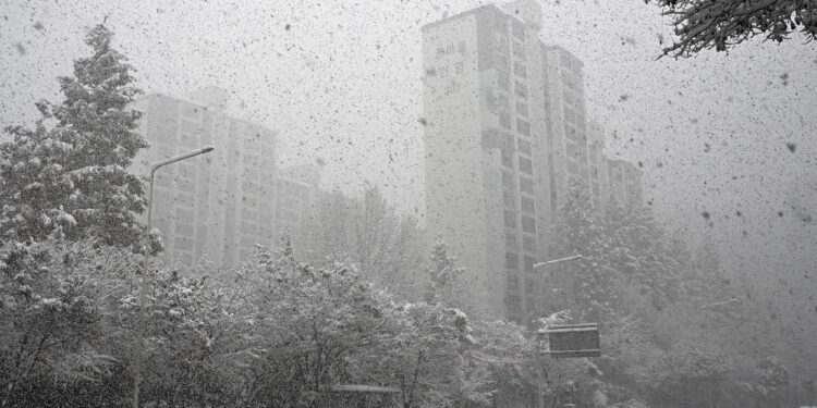 분당 시범·샛별·양지… 1기 신도시 3.6만 가구 먼저 재건축