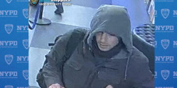 공개 피살 CEO에 애도 대신 냉소… 美 오랜 ‘건보 불만’ 표출