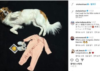 “작은 루키 곧 가족 합류”… 오타니 아빠 된다