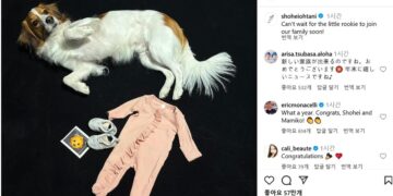 “작은 루키 곧 가족 합류”… 오타니 아빠 된다