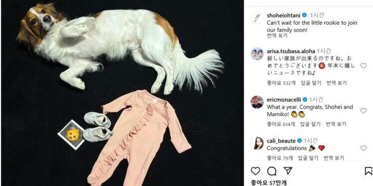 “작은 루키 곧 가족 합류”… 오타니 아빠 된다