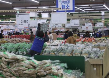 설 앞두고 배추 59%·무 77% 급등… 이상기후·고환율에 밥상 물가 비상