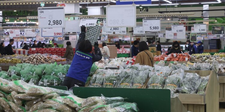 설 앞두고 배추 59%·무 77% 급등… 이상기후·고환율에 밥상 물가 비상