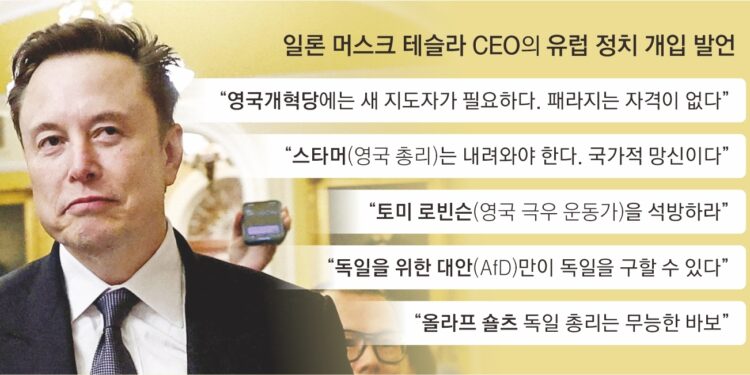 유럽 뒤집는 머스크… 이번엔 英극우당 대표에 “자격 없다” 막말