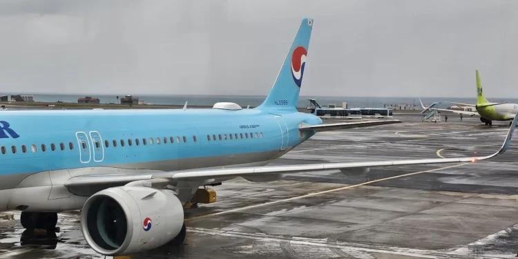 공항서 밤샌 122명 등 체류객 1만여명… 제주공항 항공편 정상 운항에 ‘안도’