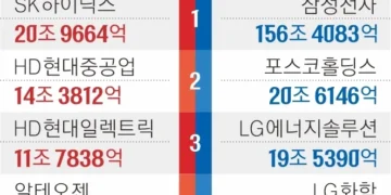 삼성전자 156조 ↓ 하이닉스 21조 ↑… 작년 한해 시가총액 249조 줄었다