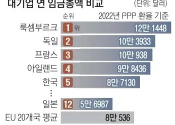 “한국 대기업 임금 수준, 日·유럽 평균보다 높다”