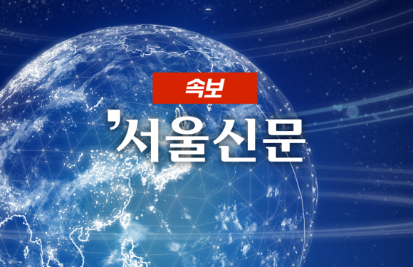 [속보] 韓 선교사 2명, 마다가스카르서 흉기피습 사망…떼강도 공격