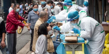 더 강한 ‘박쥐 코로나’ 확인됐다…中 “인간 전염 위험” 경고