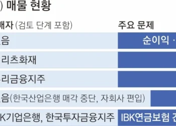 몸값 비싸고, 수익성·건전성 나쁘고… 보험사 M&A ‘잔혹사’