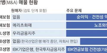몸값 비싸고, 수익성·건전성 나쁘고… 보험사 M&A ‘잔혹사’
