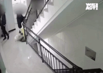 10살 아들 보는 앞에서 반려견 2층 창밖으로 휙 던진 父 송치