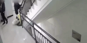 10살 아들 보는 앞에서 반려견 2층 창밖으로 휙 던진 父 송치