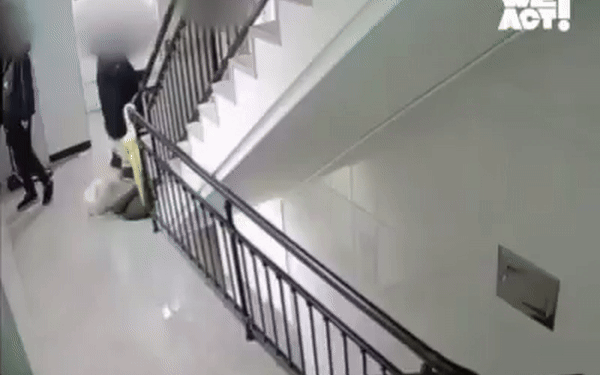 10살 아들 보는 앞에서 반려견 2층 창밖으로 휙 던진 父 송치