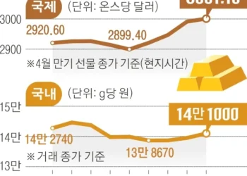 금값 3000弗 첫 돌파… “연내 3500弗”, ‘김치프리미엄’ 빠져 국내선 15% 하락