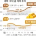 금값 3000弗 첫 돌파… “연내 3500弗”, ‘김치프리미엄’ 빠져 국내선 15% 하락