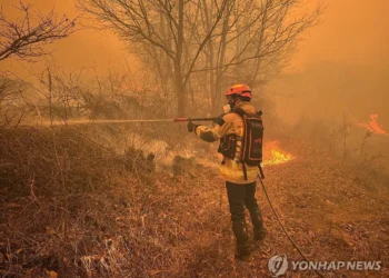 의성 산불 ‘성묘객 실화’…“당사자가 직접 119신고”