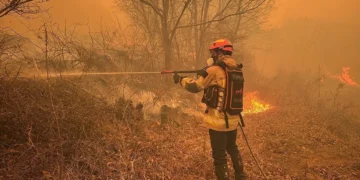 의성 산불 ‘성묘객 실화’…“당사자가 직접 119신고”