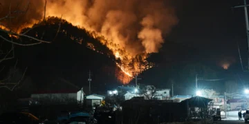 정부, ‘산불 피해’ 경남 산청군 특별재난지역 선포