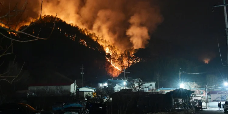 정부, ‘산불 피해’ 경남 산청군 특별재난지역 선포