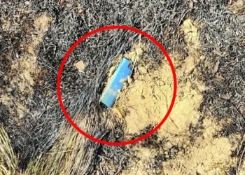 ‘의성 산불’ 최초목격자 “성묘객 헐레벌떡 내려와”…라이터 발견, 처벌받나? [포착]