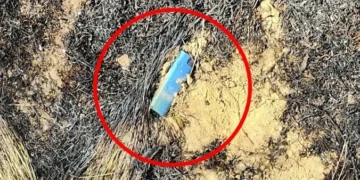 ‘의성 산불’ 최초목격자 “성묘객 헐레벌떡 내려와”…라이터 발견, 처벌받나? [포착]