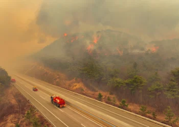 강풍 탄 의성 산불, 안동까지 번졌다