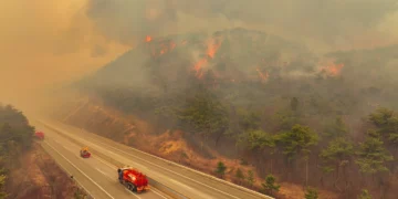 강풍 탄 의성 산불, 안동까지 번졌다