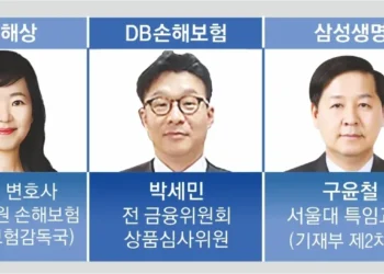 경제관료 출신 사외이사 늘린 보험사… “당국 소통” vs “견제 충실”