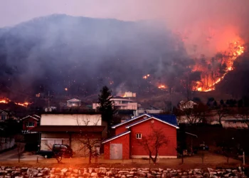 산불이 도심으로…안동시 “남후면 무릉리서 시내 방면으로 확산”