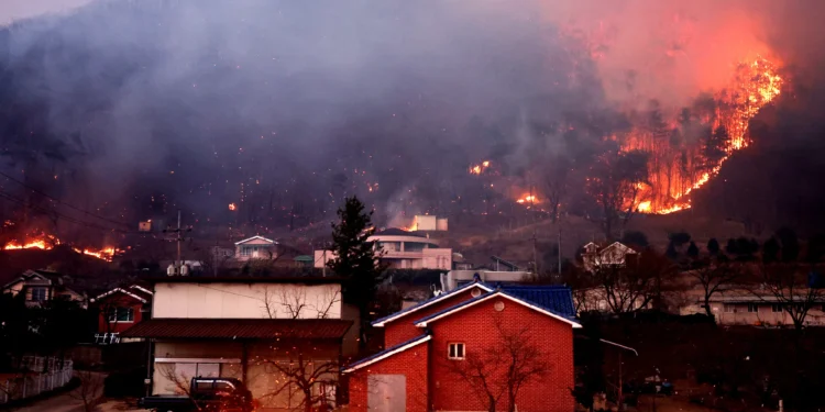 산불이 도심으로…안동시 “남후면 무릉리서 시내 방면으로 확산”