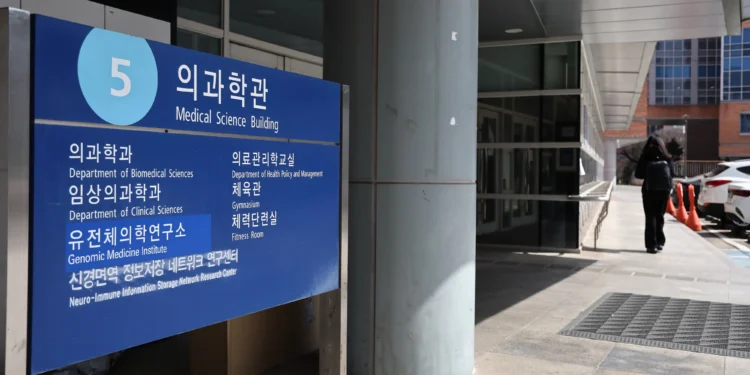 돌아온 의대생 울리는 ‘배신자’ 낙인 공포