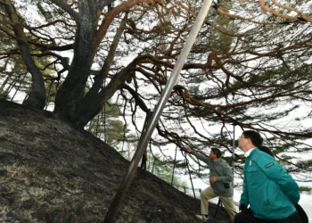 [속보] 영덕 이어 영양도 주불 진화…“잔불 정리 중”