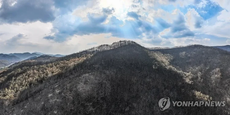 ‘역대 최악의 경북 산불’, 149시간만 진화…“여의도 156배 잿더미”