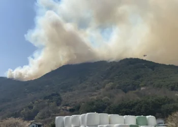 “10년 전 산불 피해 대출 아직 못 갚아”… 끝나지 않는 이재민의 삶